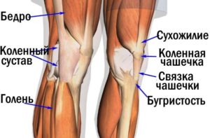 Чем лечить хруст в коленном суставе