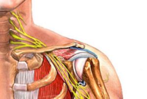Боль в плечевом суставе правой и левой руки: причины