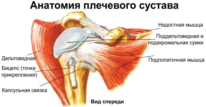 Плечевой сустав часто повреждается в следствие травм